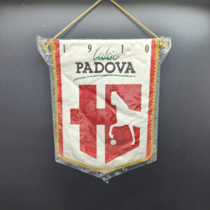 Padova gagliardetto '90