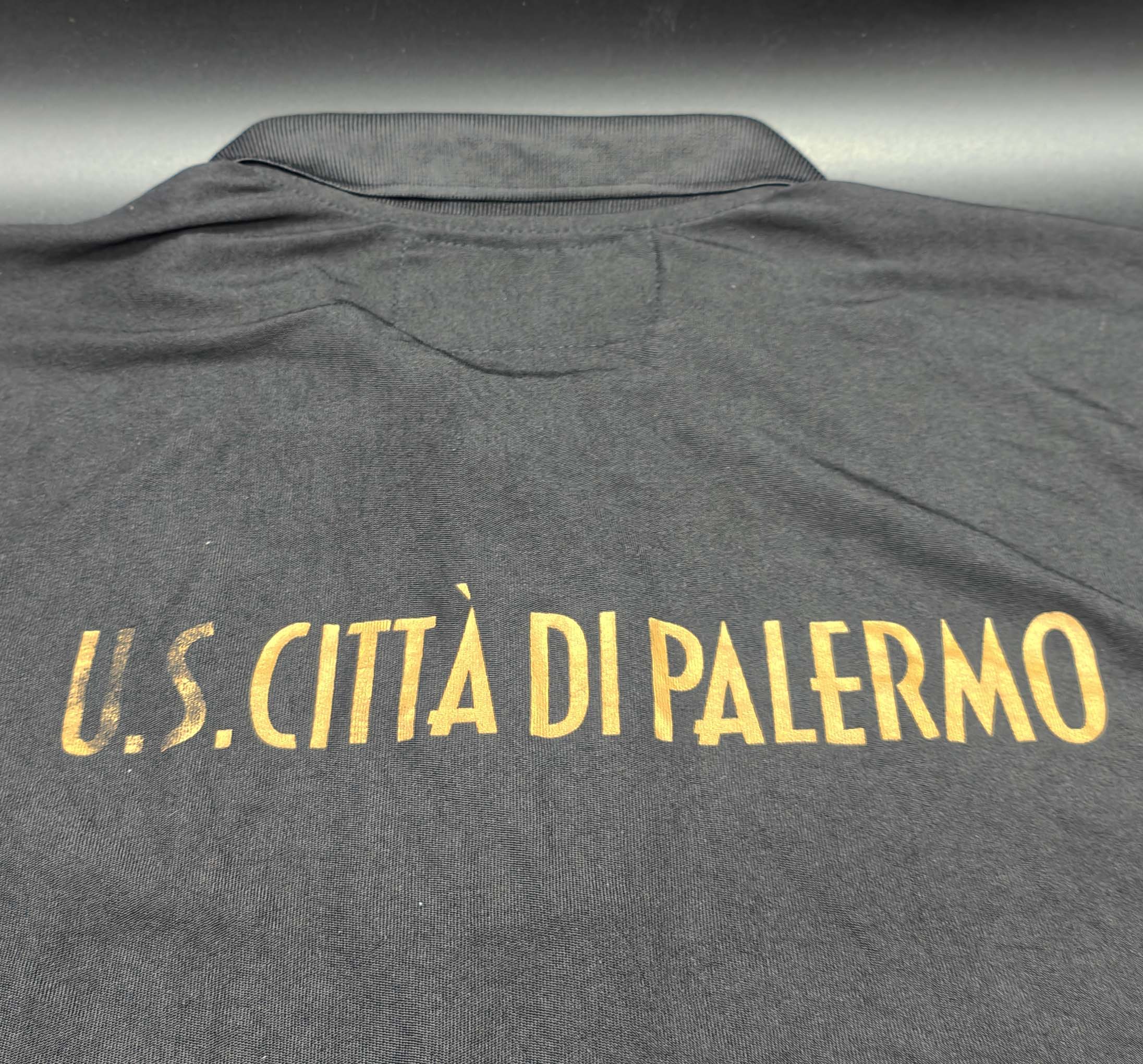Palermo 2011-12 polo Legea - immagine 7