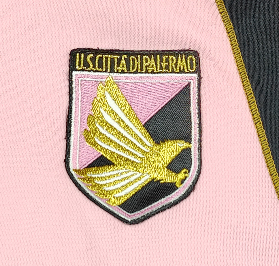 Palermo 2008-09 maglia Lotto home #19 Succi matchworn - immagine 6