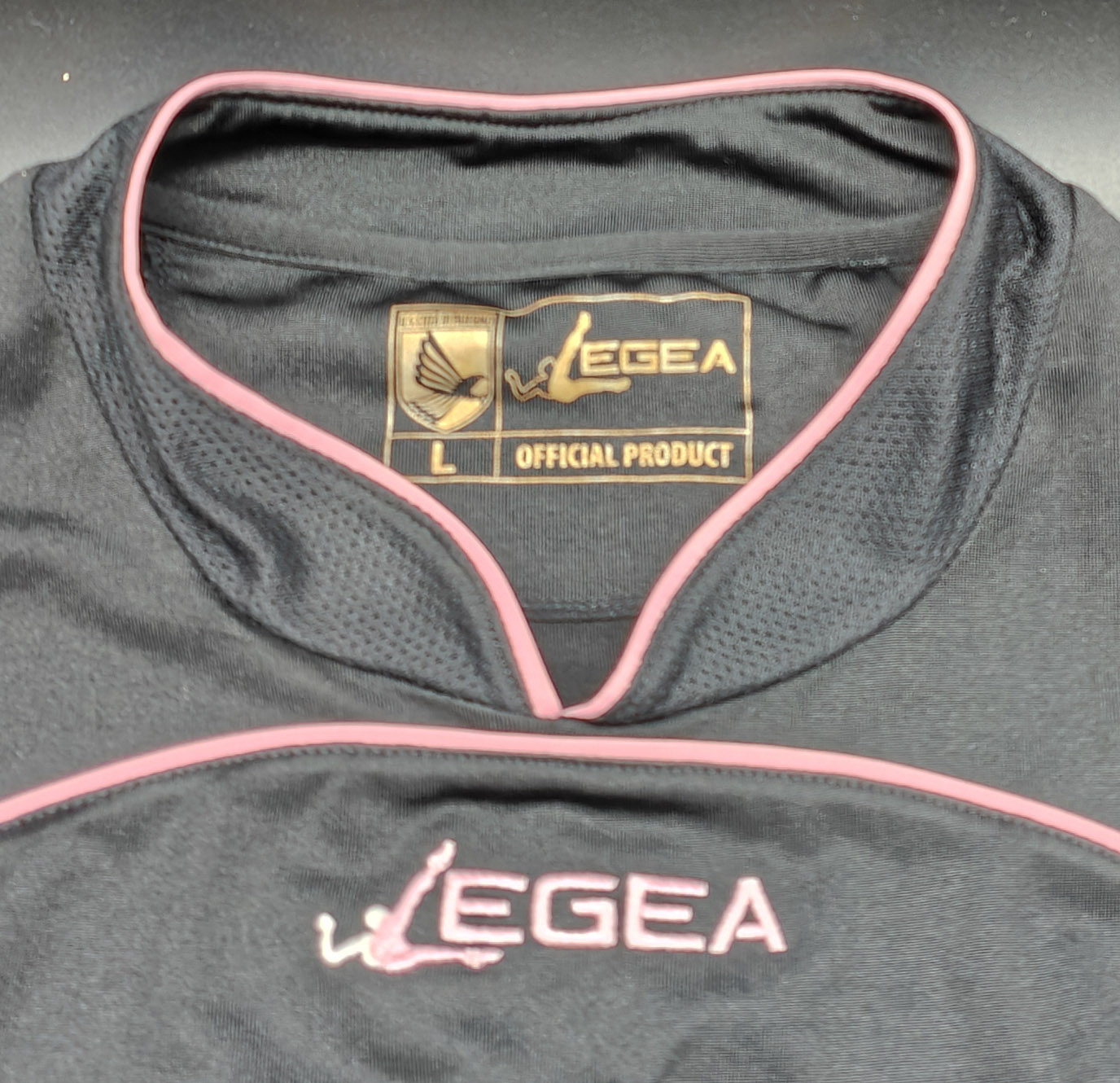 Palermo 2010-11 maglia Legea third #21 Bacinovic matchworn - immagine 3