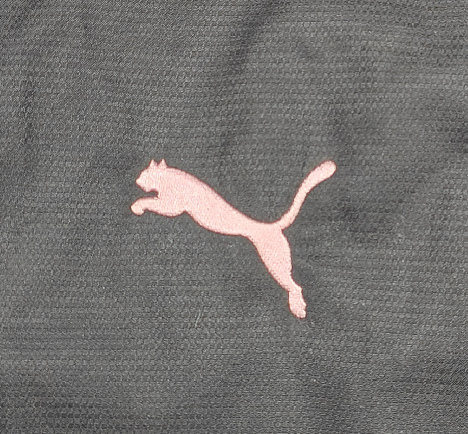 Palermo 2012-14 giacca Puma training - immagine 4